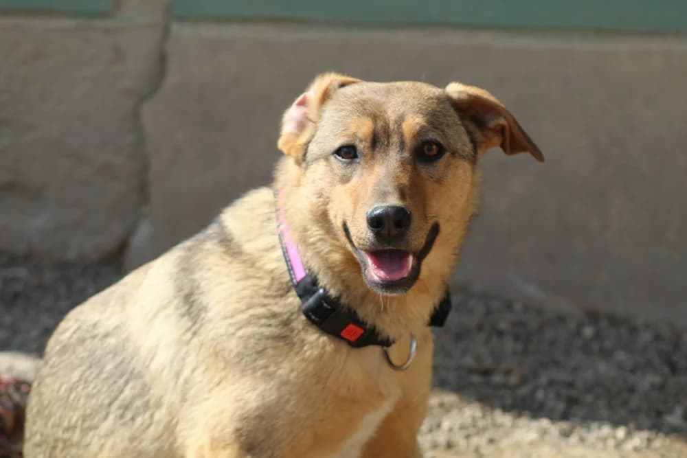 ❤️Carmela❤️ photo 7