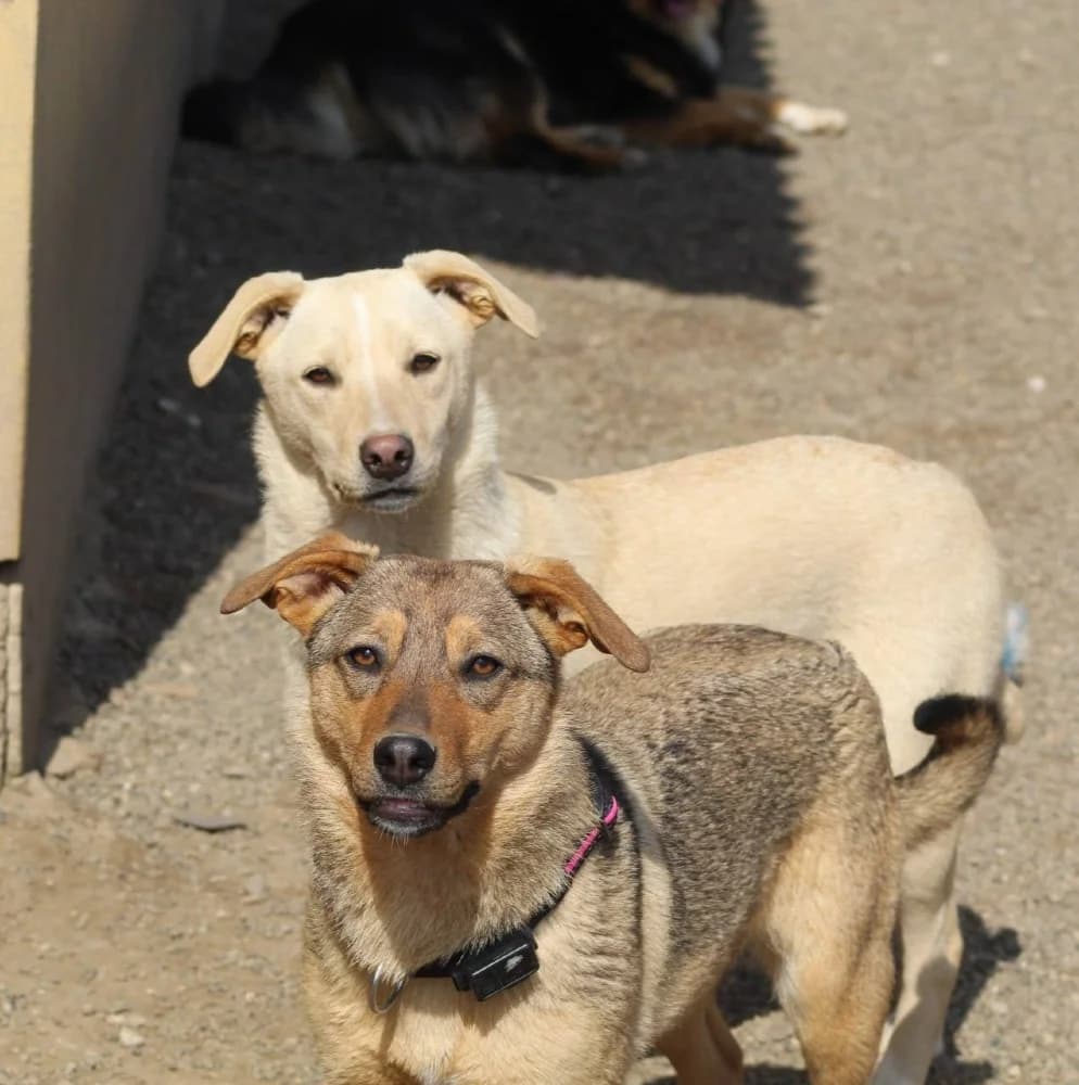 ❤️Carmela❤️ photo 8