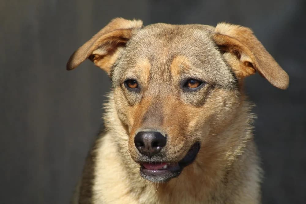 ❤️Carmela❤️ photo 2