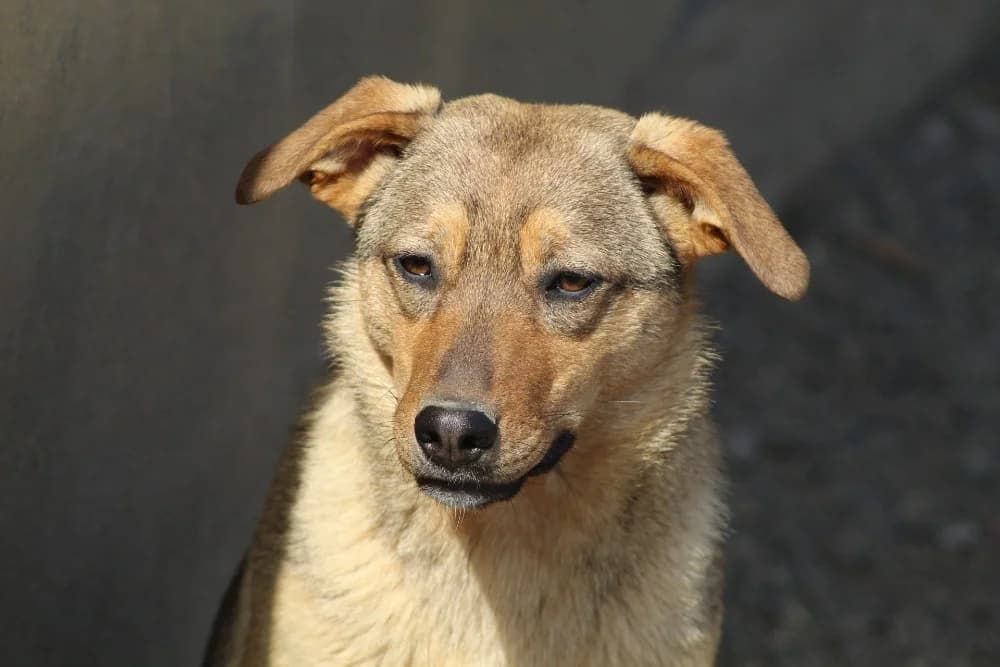 ❤️Carmela❤️ photo 3