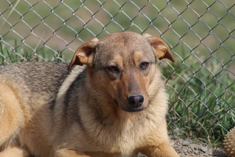 ❤️Carmela❤️ photo 4