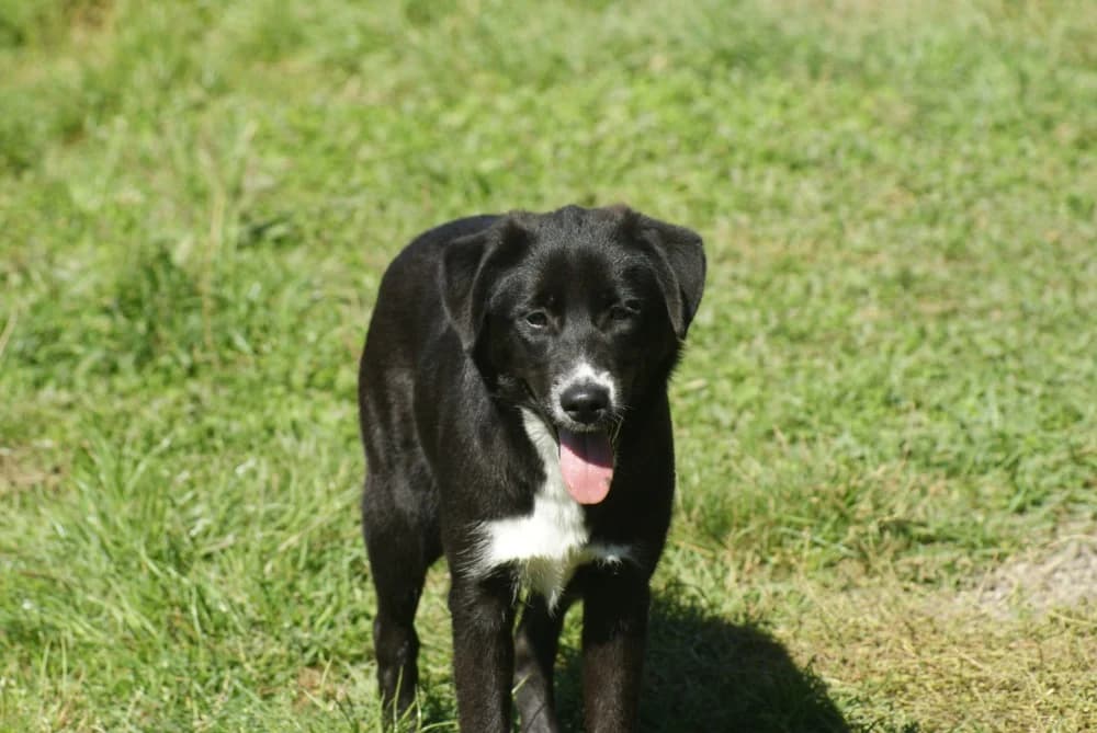 ❤️Charlotte❤️ photo 5