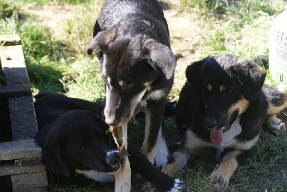 ❤️Charlotte❤️ photo 6