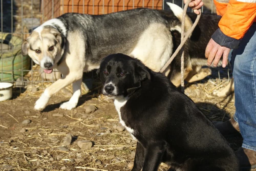 ❤️Charlotte❤️ photo 8