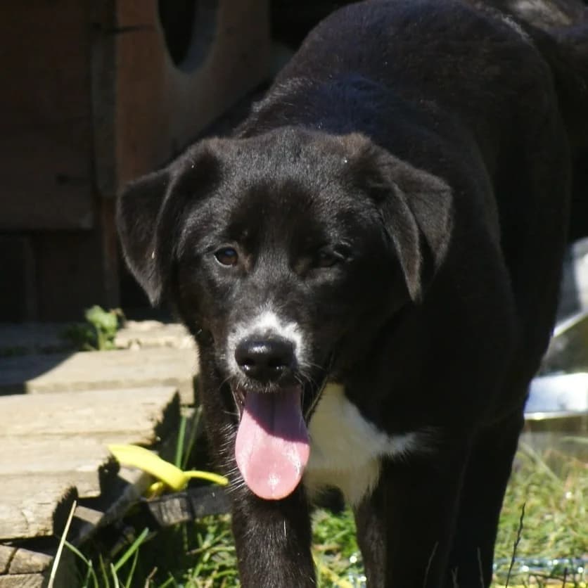 ❤️Charlotte❤️