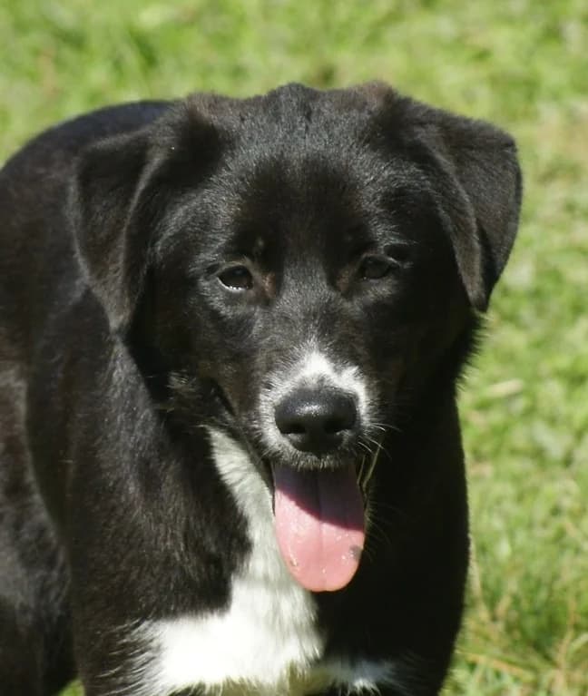 ❤️Charlotte❤️ photo 2