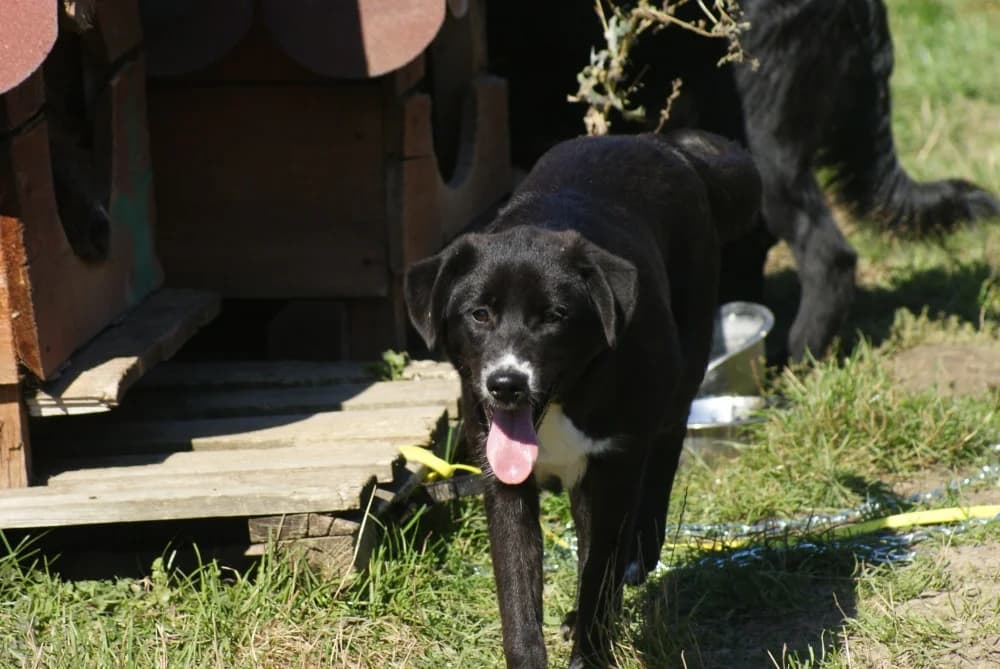 ❤️Charlotte❤️ photo 3