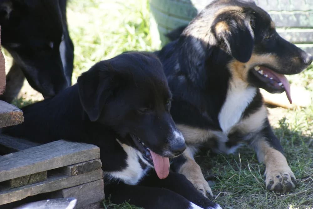 ❤️Charlotte❤️ photo 4