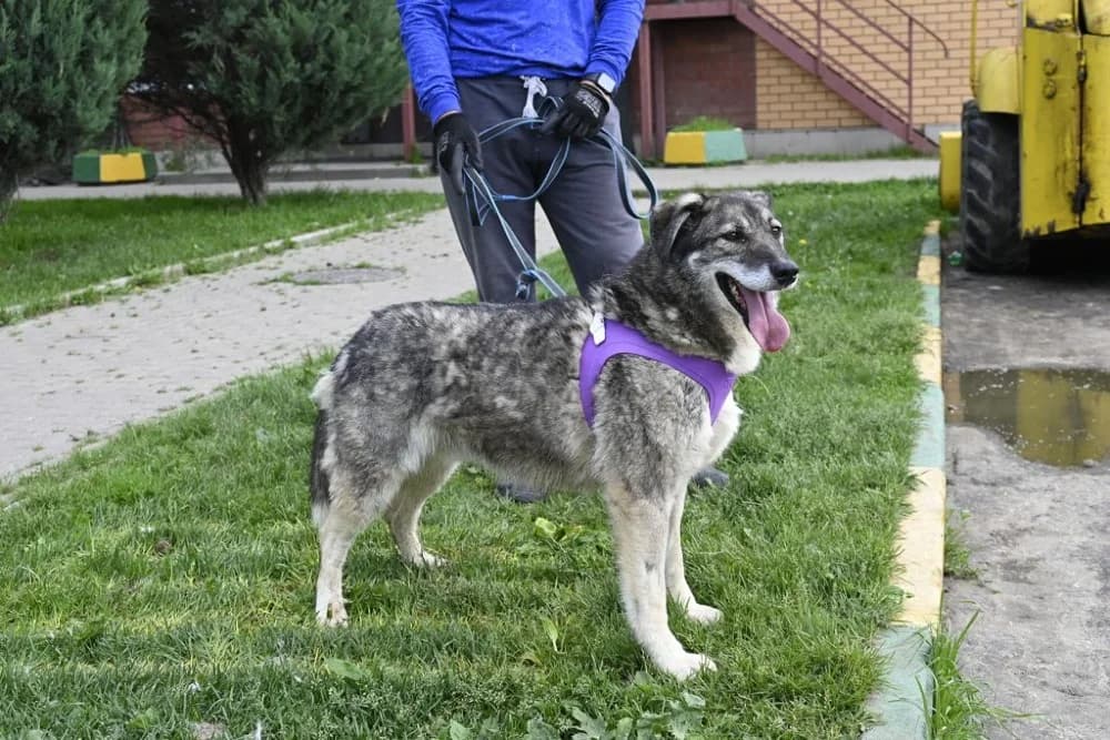 Dereck ♥♥♥ photo 5