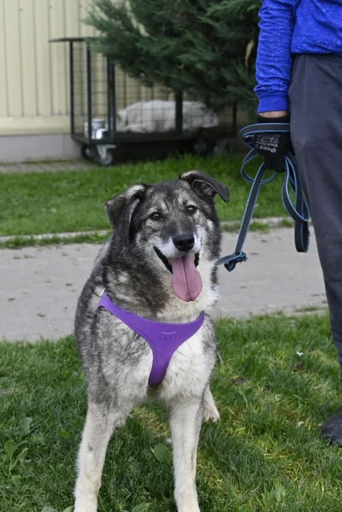 Dereck ♥♥♥ photo 6