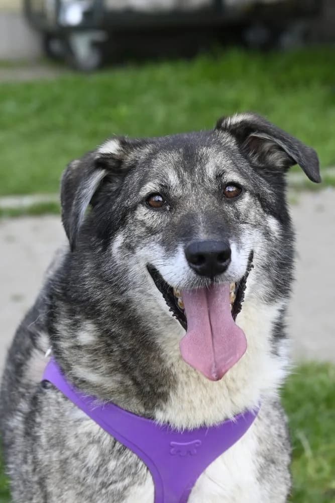 Dereck ♥♥♥ photo 7