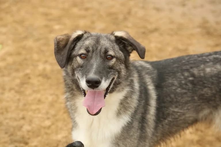 Dereck ♥♥♥ photo 2