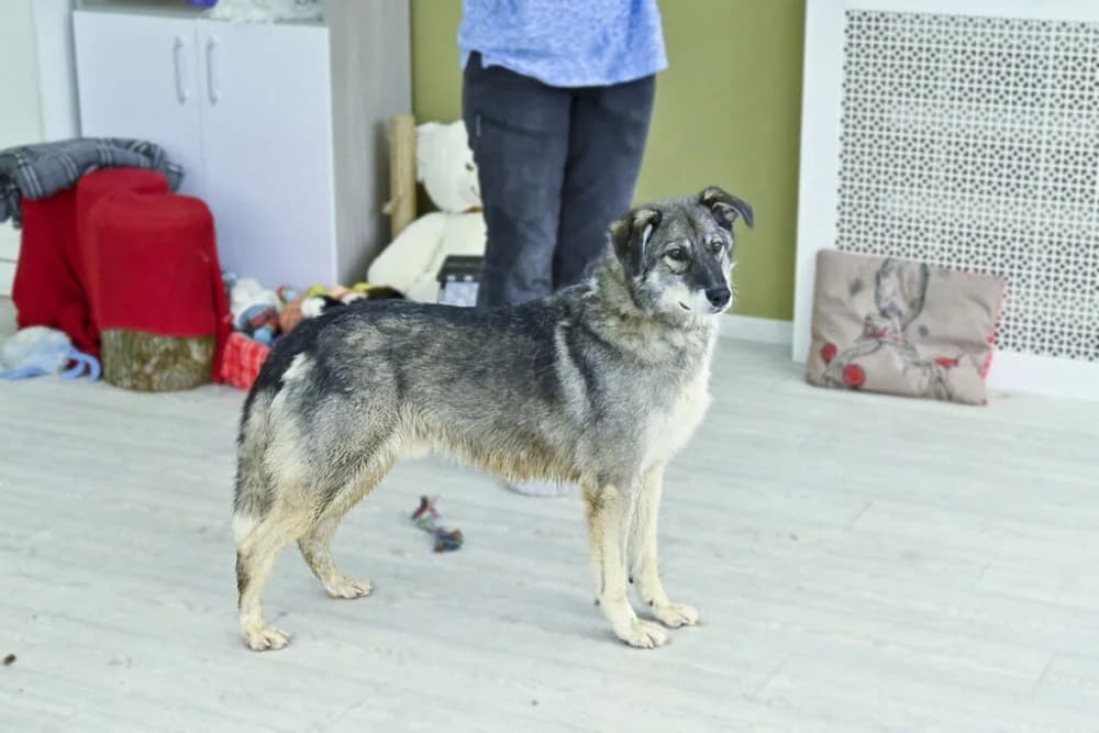 Dereck ♥♥♥ photo 3