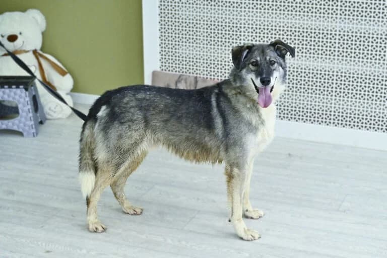 Dereck ♥♥♥ photo 4