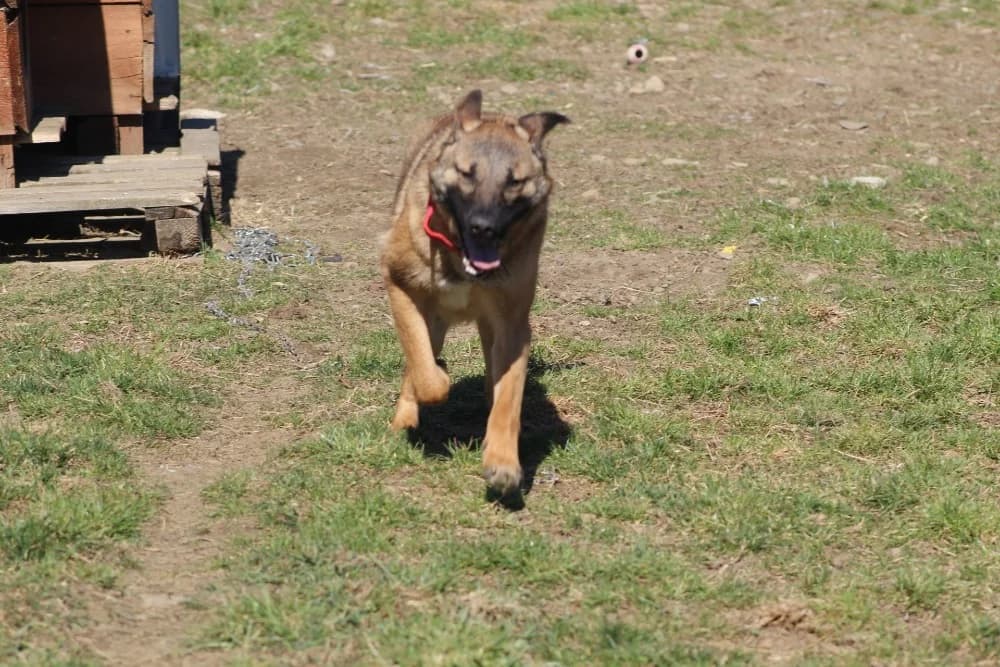 ❤️Doinita❤️ photo 5