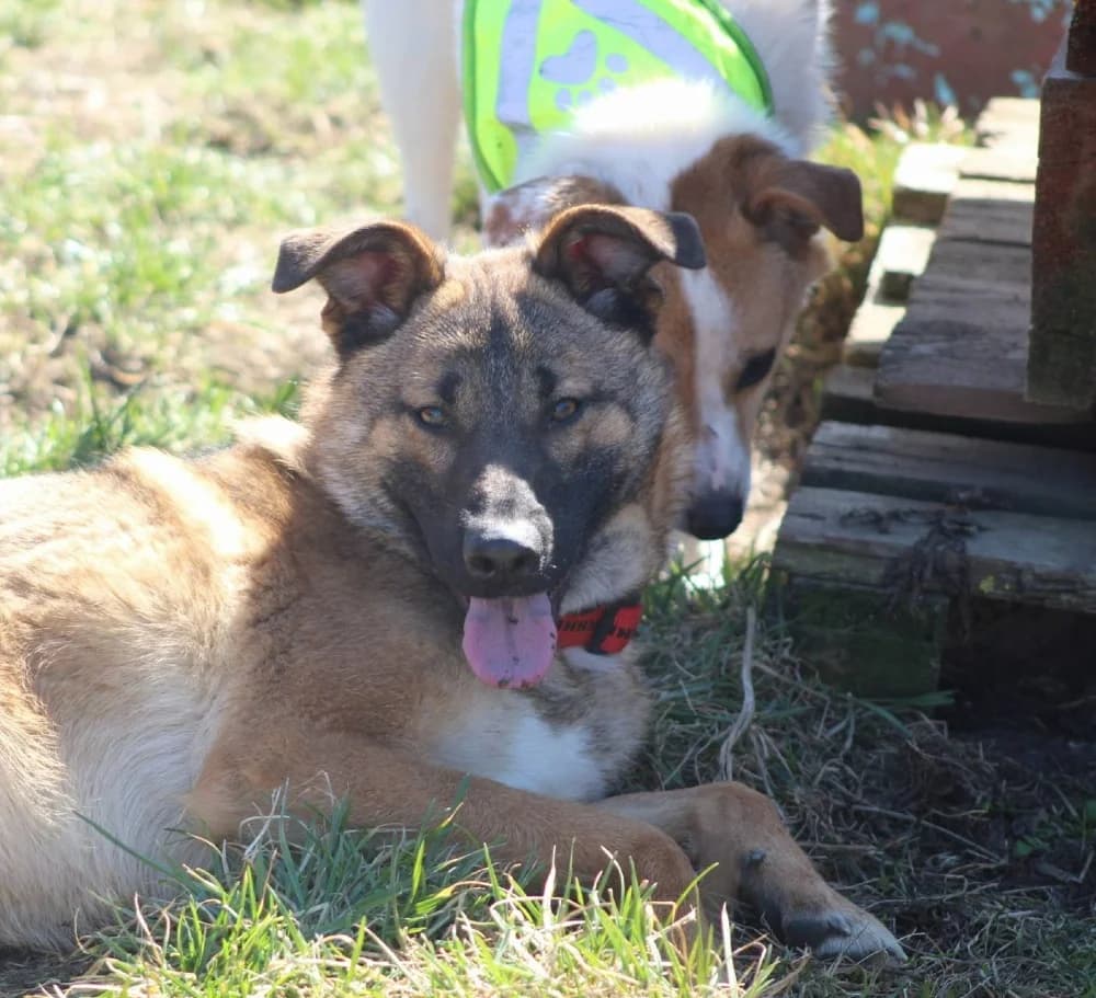 ❤️Doinita❤️ photo 6