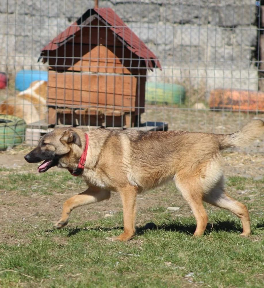 ❤️Doinita❤️ photo 7