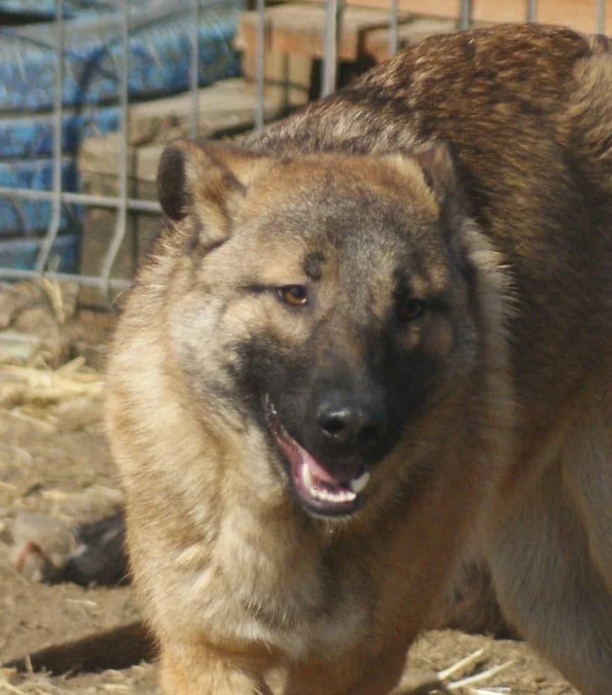 ❤️Doinita❤️ photo 8