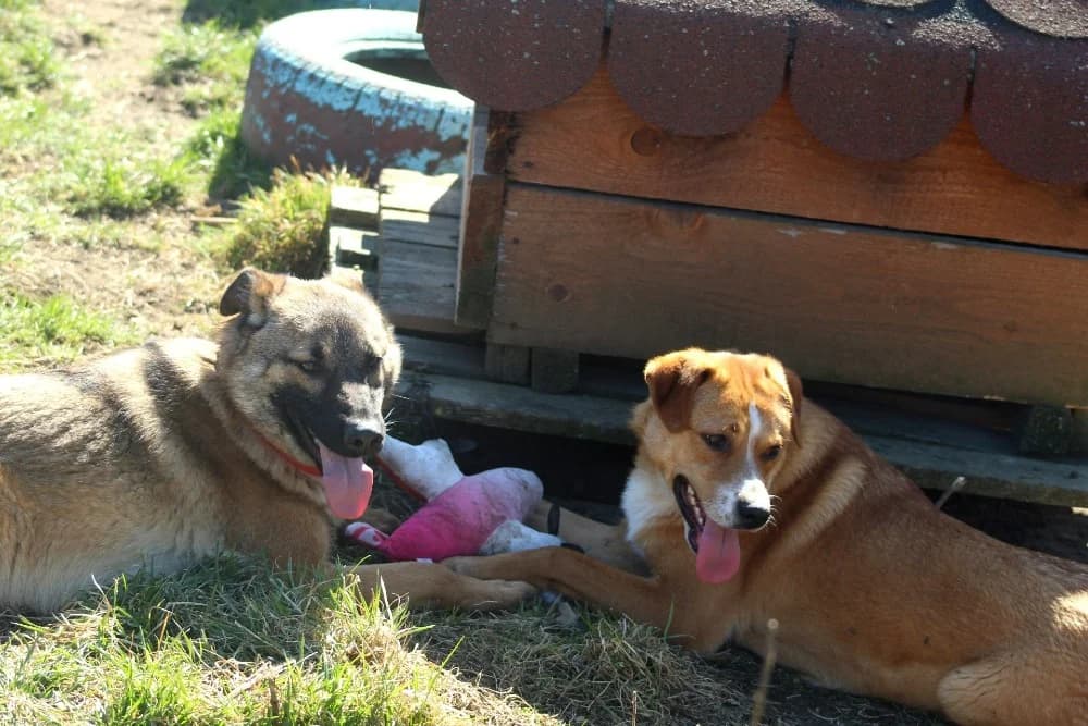 ❤️Doinita❤️ photo 2