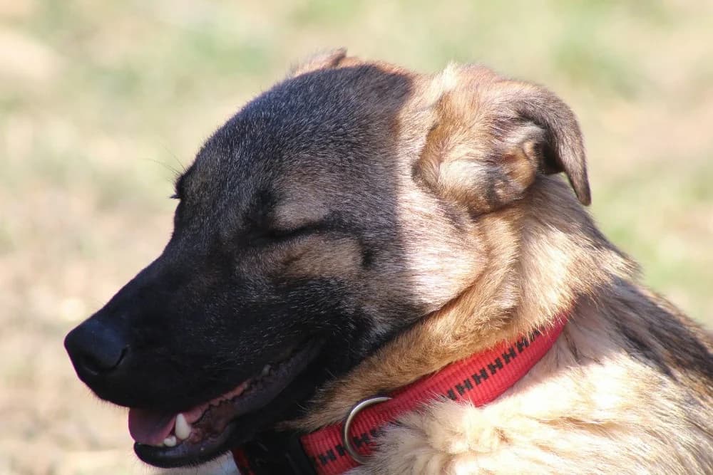 ❤️Doinita❤️ photo 3