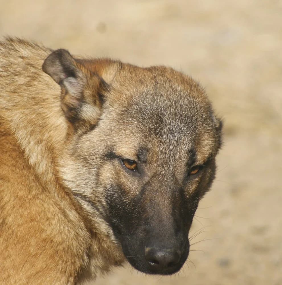 ❤️Doinita❤️ photo 4