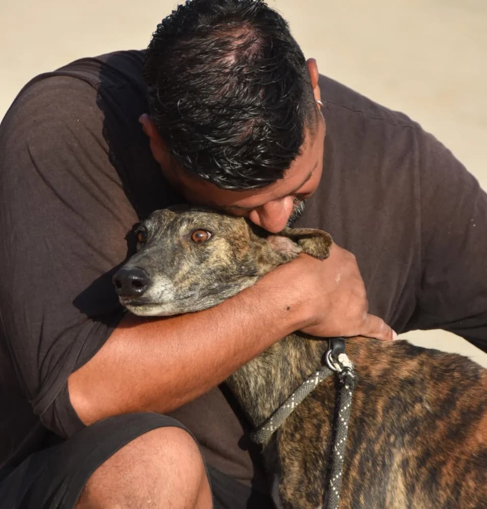 Duque de Juarez DC photo 4