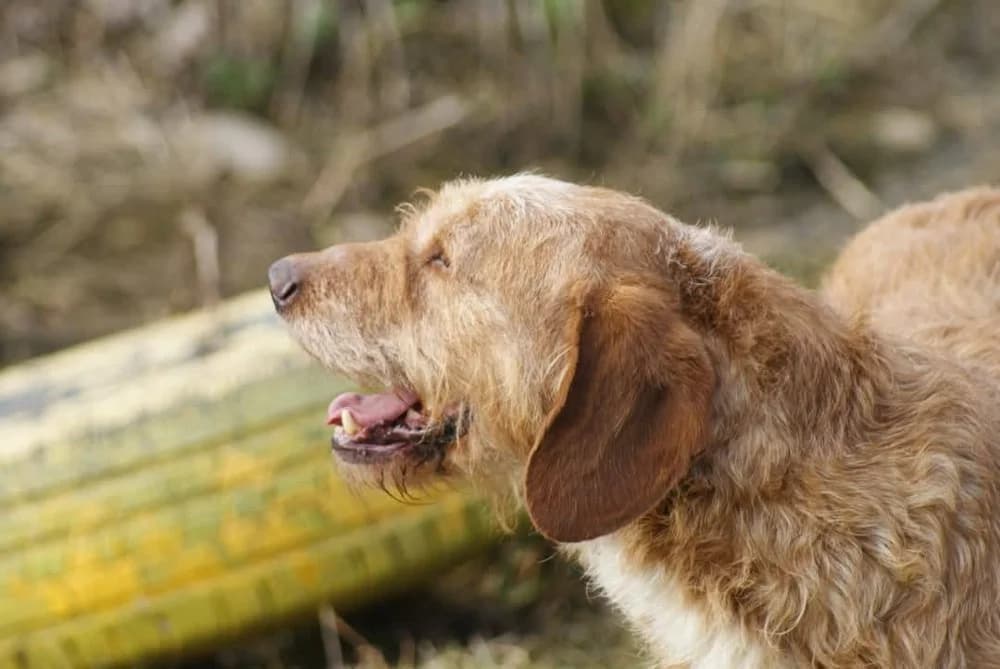 ❤️Elias❤️ photo 6