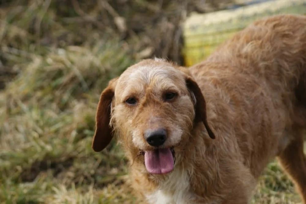 ❤️Elias❤️ photo 8