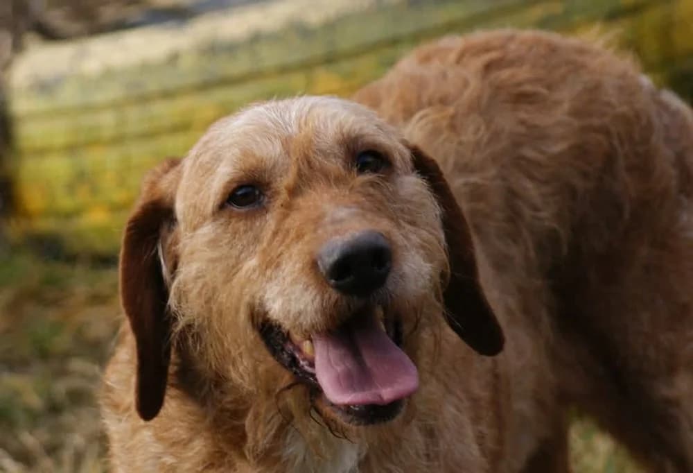 ❤️Elias❤️ photo 2