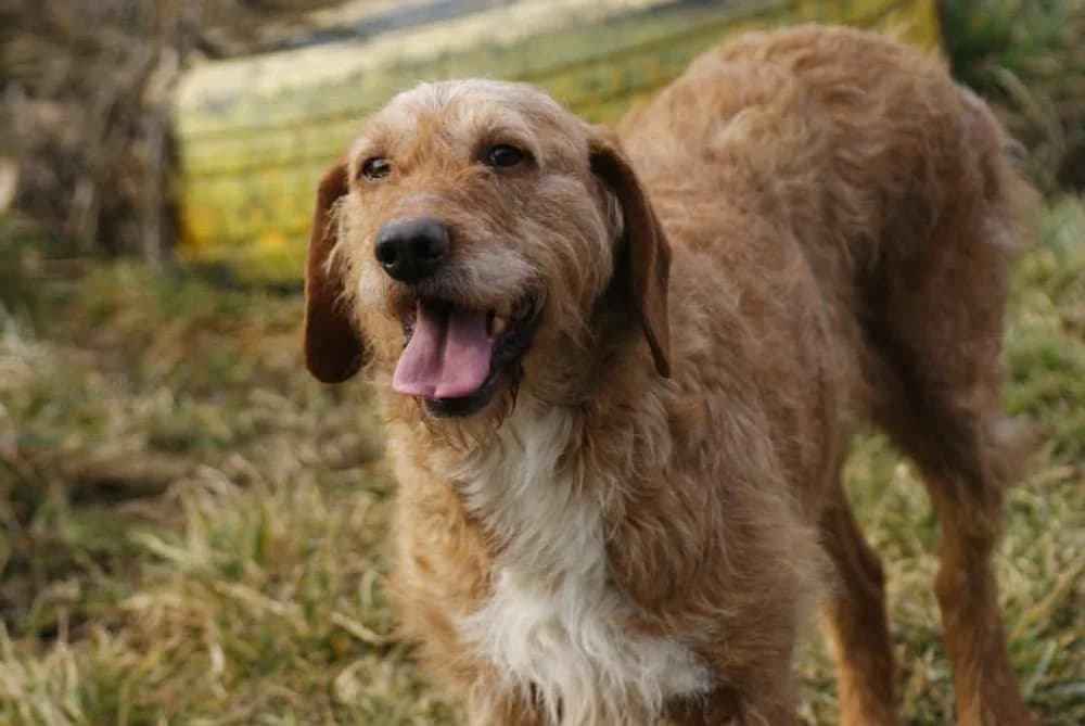 ❤️Elias❤️ photo 3