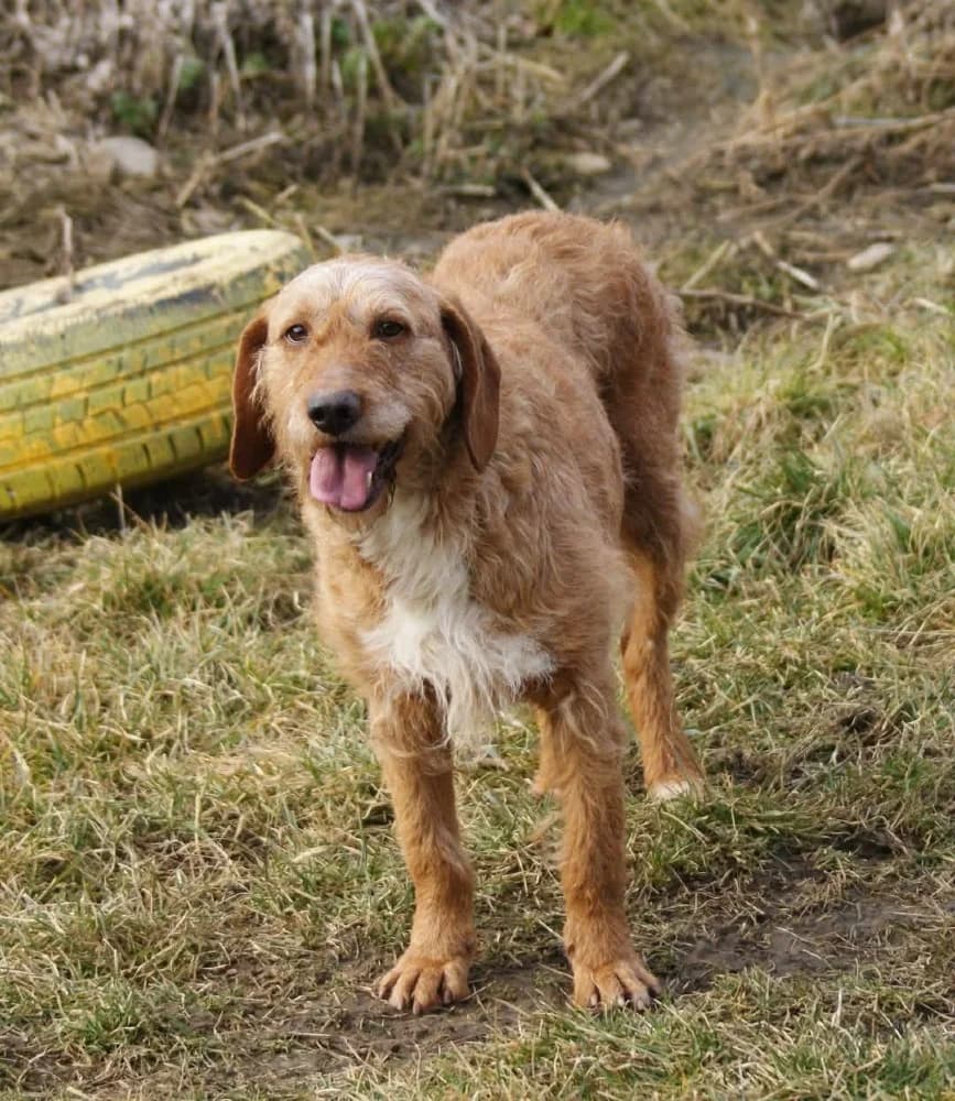 ❤️Elias❤️ photo 4