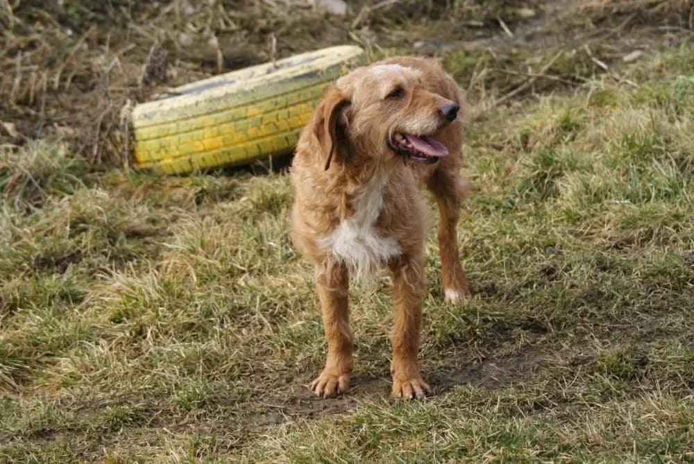 ❤️Elias❤️ photo 5