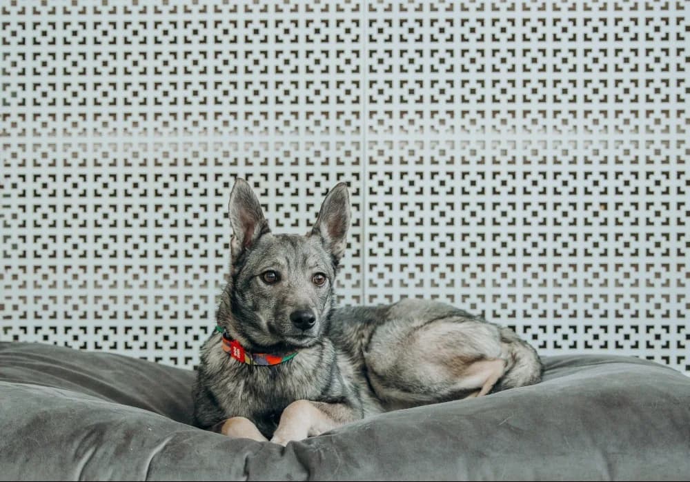 Eliza -een teder hartje🌷 photo 5