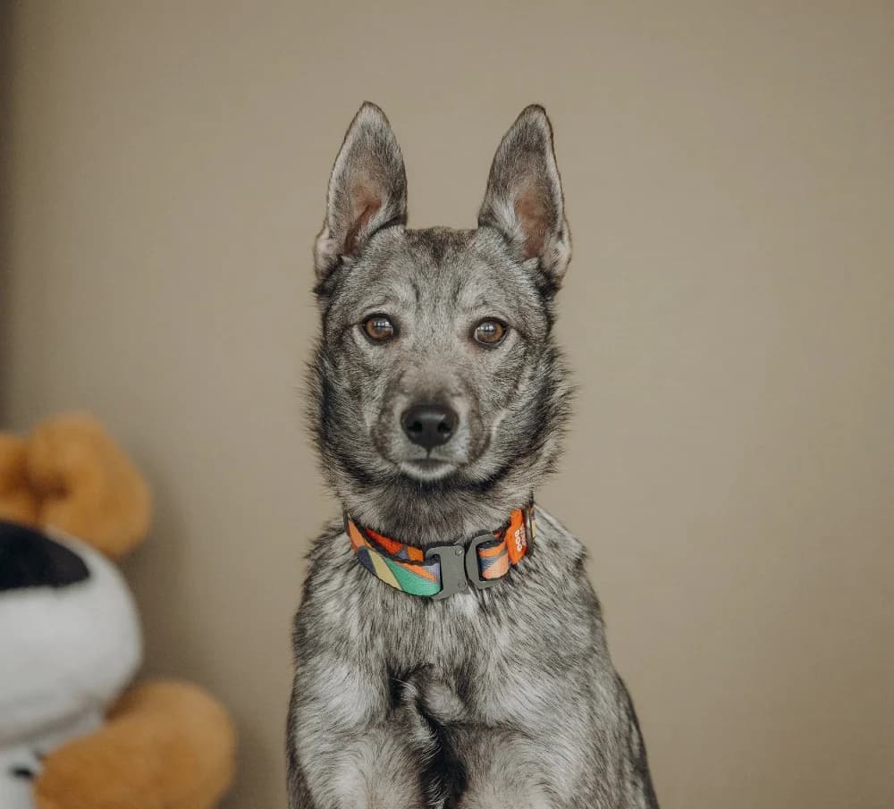 Eliza -een teder hartje🌷 photo 7