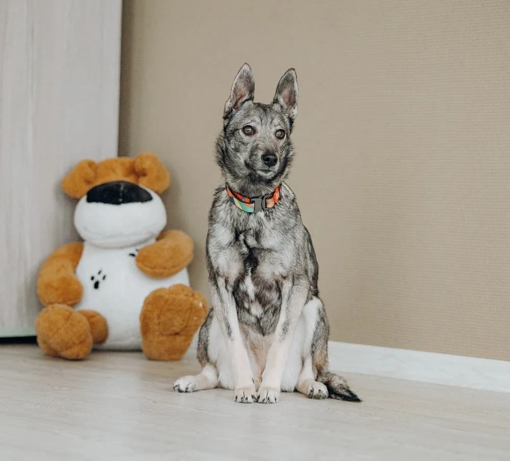 Eliza -een teder hartje🌷 photo 8