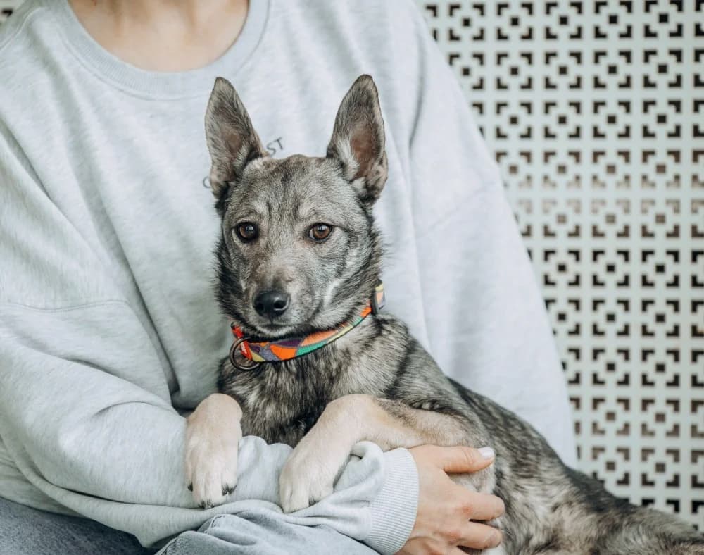 Eliza -een teder hartje🌷