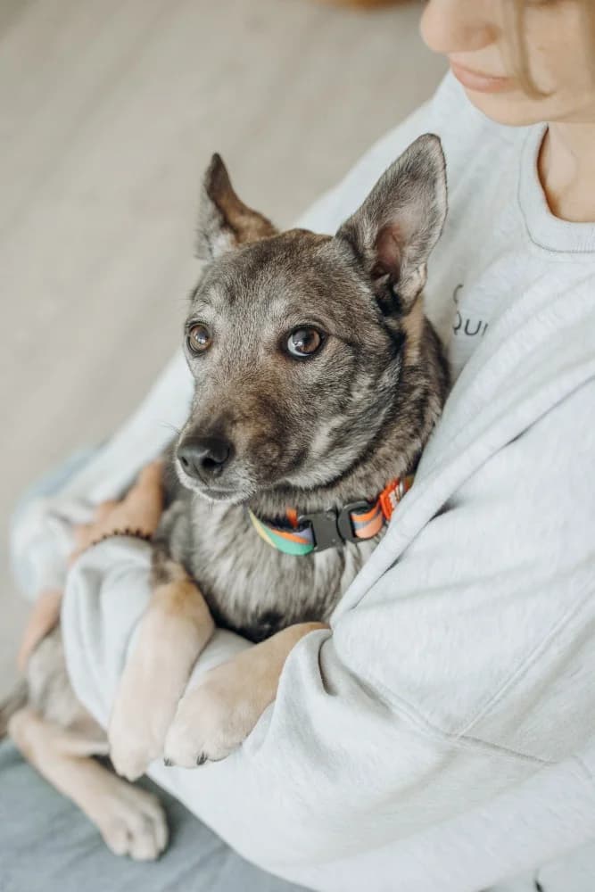 Eliza -een teder hartje🌷 photo 2