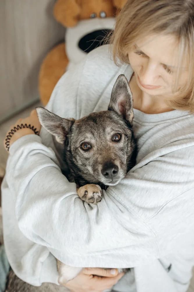 Eliza -een teder hartje🌷 photo 3