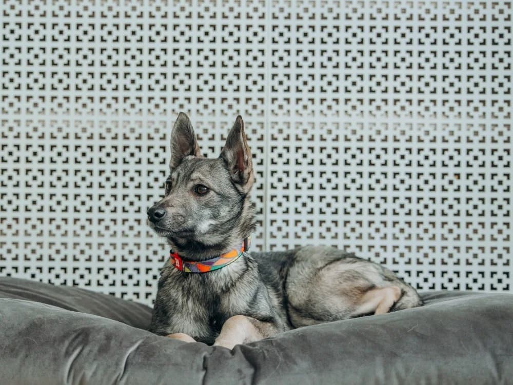 Eliza -een teder hartje🌷 photo 4