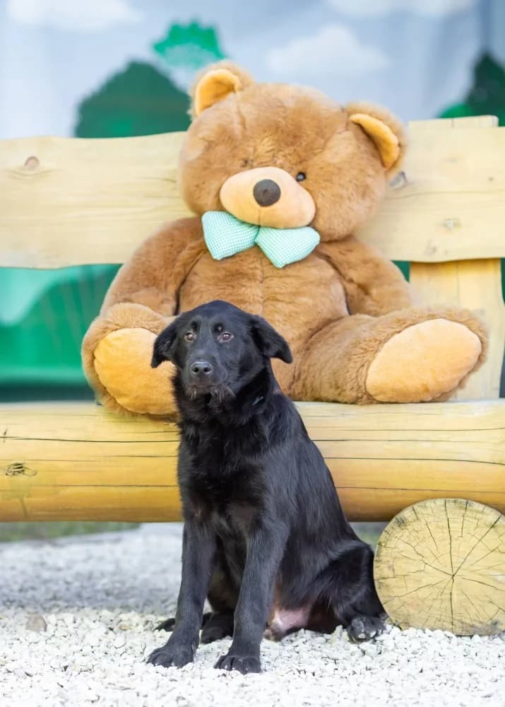 Evan ziel met groot hart photo 4