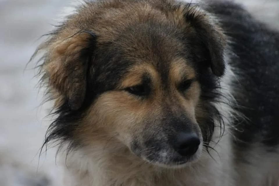 ❤️Franklin❤️ photo 6