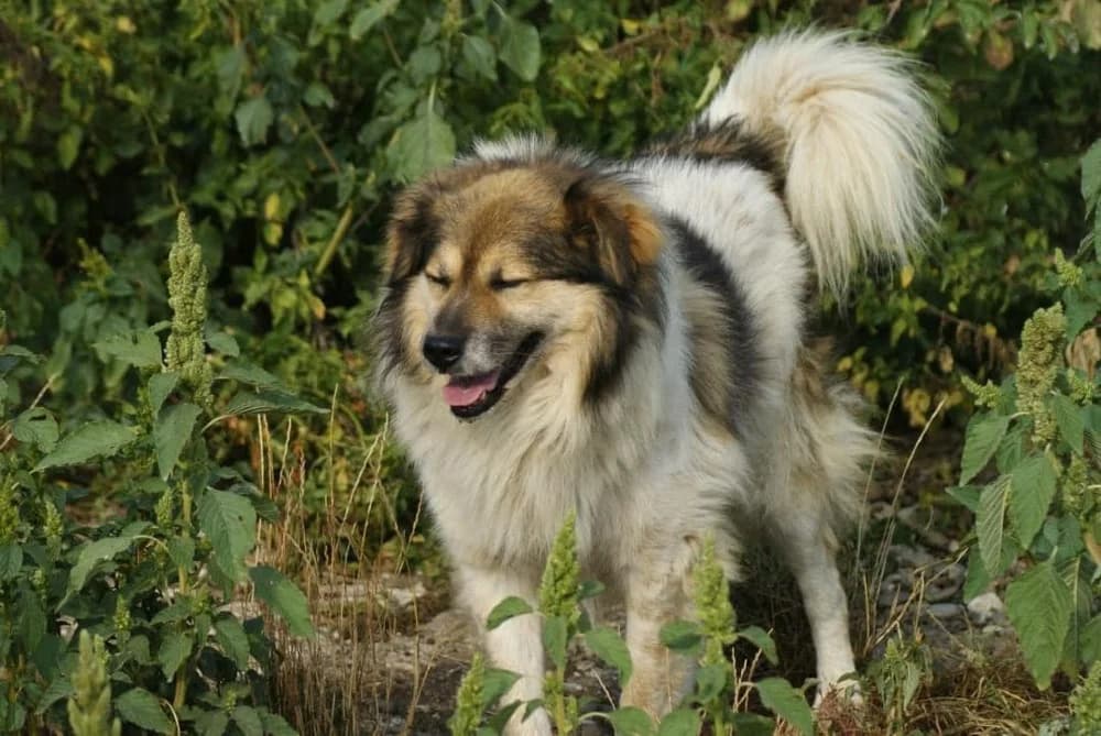 ❤️Franklin❤️ photo 7