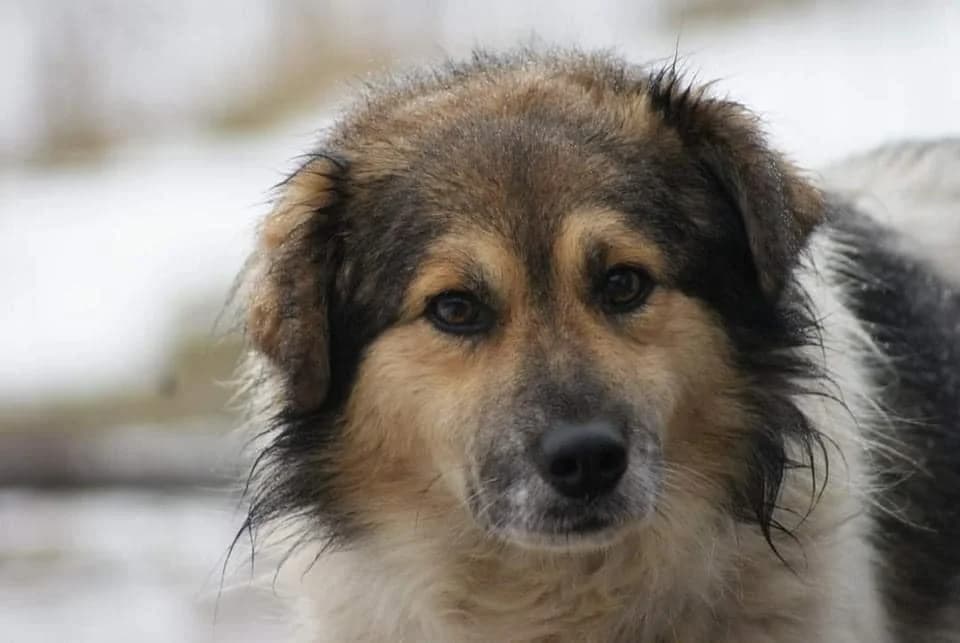 ❤️Franklin❤️ photo 2