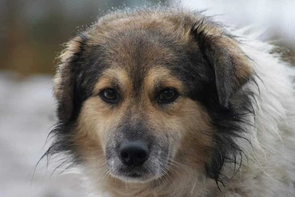 ❤️Franklin❤️ photo 3