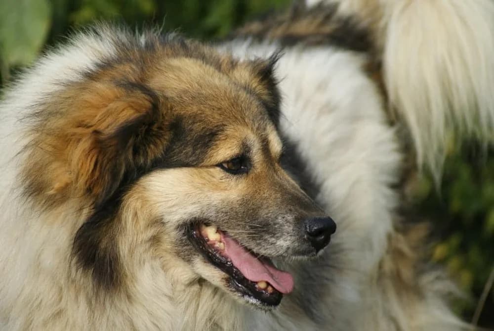 ❤️Franklin❤️ photo 5