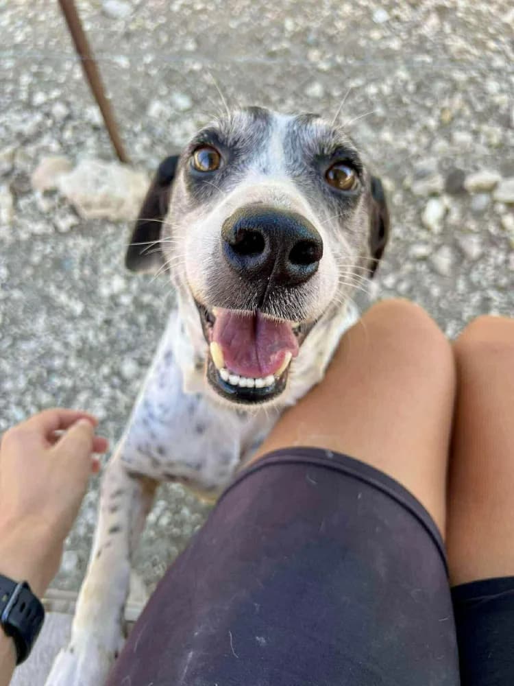 KOKOS * katvriendelijk! photo 7