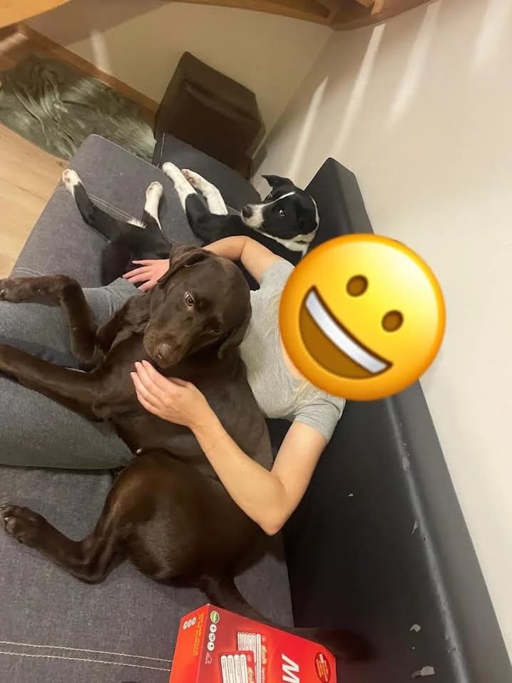 Lavanda Panda photo 4