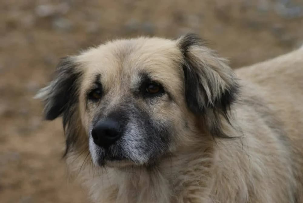 ❤️Lieve Peggy❤️ photo 6