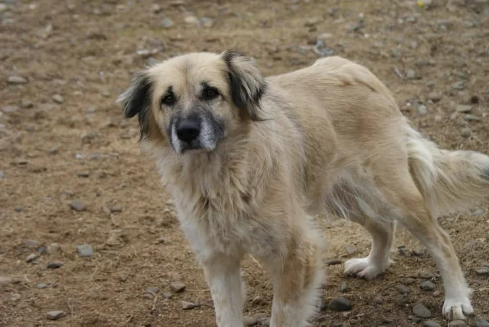 ❤️Lieve Peggy❤️ photo 7