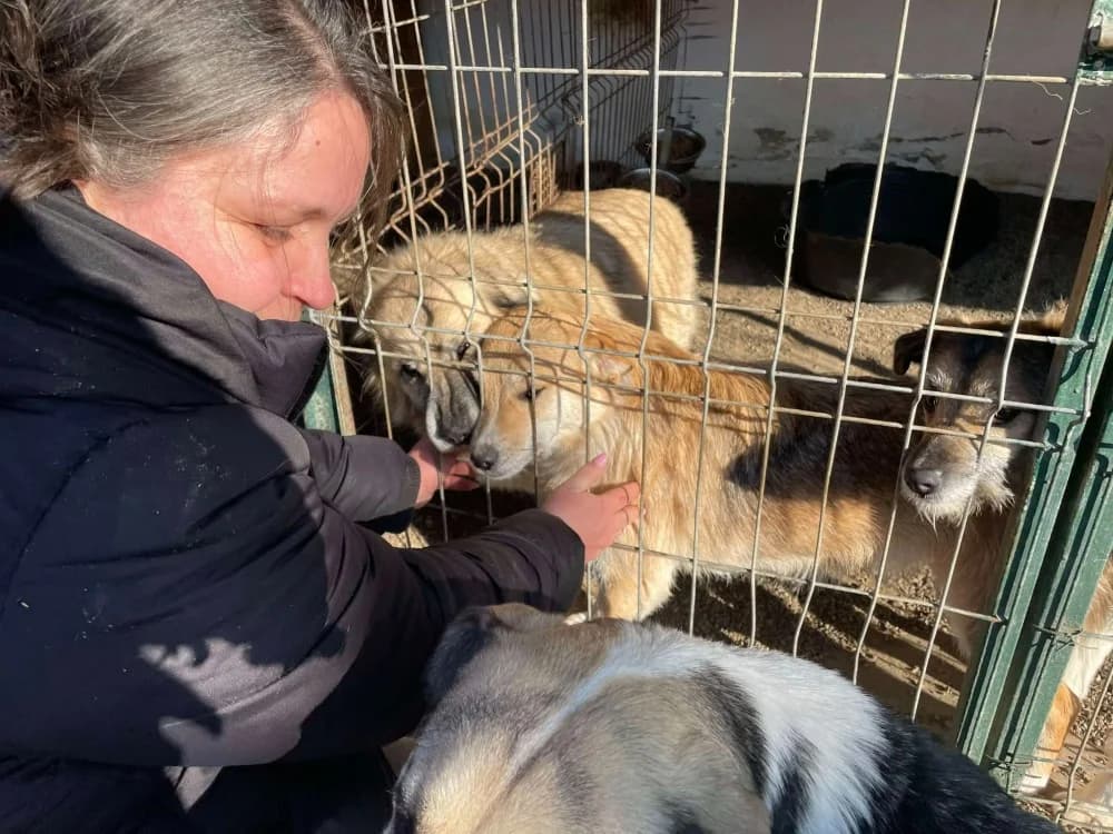 ❤️Lieve Peggy❤️ photo 8